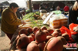 食用農產品價格微幅上揚，雞蛋漲幅達2.2%引關注