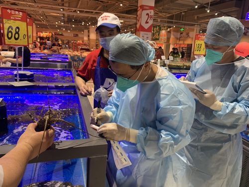 浙江首批菜場(chǎng)三文魚(yú)樣品檢測(cè)結(jié)果出爐 零售食用農(nóng)產(chǎn)品安全狀況引關(guān)注