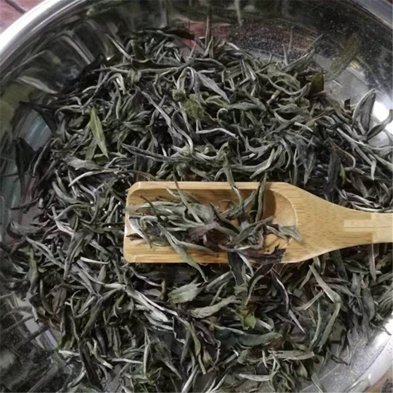 品味信陽白茶 韻潭茶葉2018年500克裝水產(chǎn)品零售體驗(yàn)